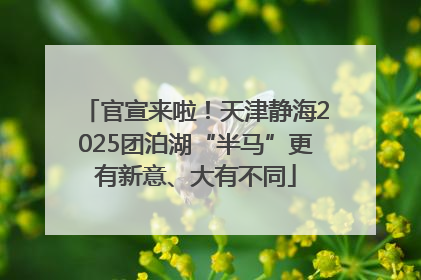官宣来啦！天津静海2025团泊湖“半马”更有新意、大有不同