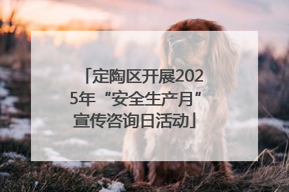 定陶区开展2025年“安全生产月”宣传咨询日活动
