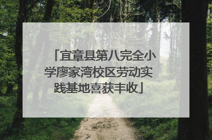 宜章县第八完全小学廖家湾校区劳动实践基地喜获丰收