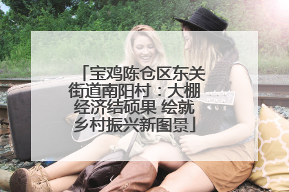 宝鸡陈仓区东关街道南阳村：大棚经济结硕果 绘就乡村振兴新图景