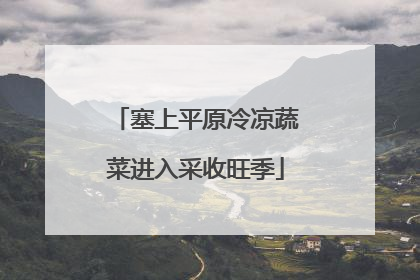 塞上平原冷凉蔬菜进入采收旺季