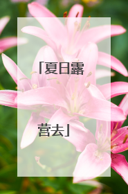 夏日露营去