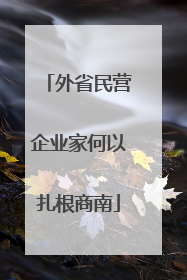 外省民营企业家何以扎根商南