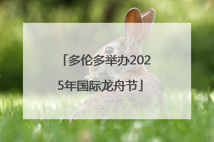 多伦多举办2025年国际龙舟节