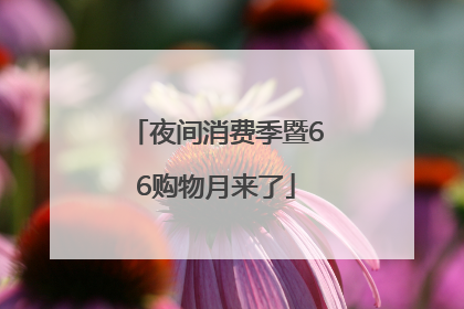 夜间消费季暨66购物月来了