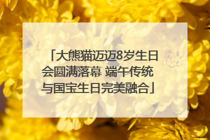 大熊猫迈迈8岁生日会圆满落幕 端午传统与国宝生日完美融合