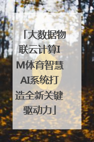 大数据物联云计算IM体育智慧AI系统打造全新关键驱动力