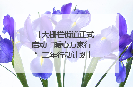 大栅栏街道正式启动“暖心万家行”三年行动计划