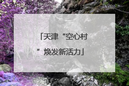 天津“空心村”焕发新活力