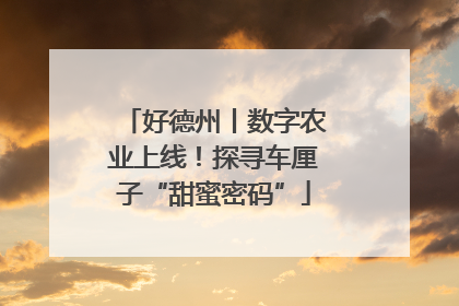 好德州丨数字农业上线！探寻车厘子“甜蜜密码”