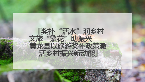 奖补“活水”润乡村 文旅“繁花”助振兴——黄龙县以旅游奖补政策激活乡村振兴新动能