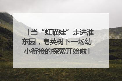 当“虹猫娃”走进淮东园，皂荚树下一场幼小衔接的探索开始啦