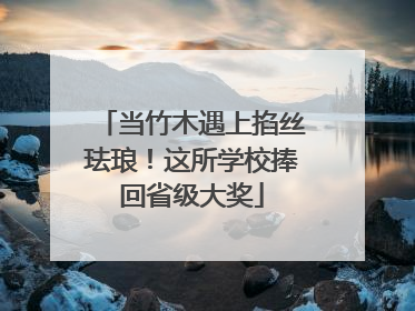 当竹木遇上掐丝珐琅！这所学校捧回省级大奖