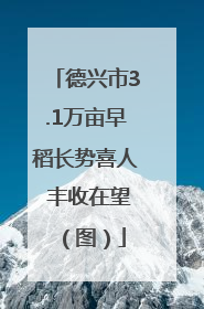 德兴市3.1万亩早稻长势喜人 丰收在望（图）