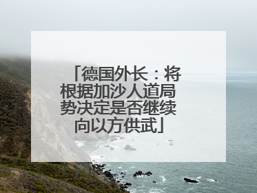 德国外长：将根据加沙人道局势决定是否继续向以方供武