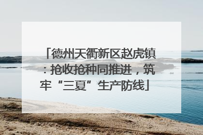 德州天衢新区赵虎镇：抢收抢种同推进，筑牢“三夏”生产防线
