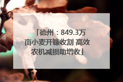 德州：849.3万亩小麦开镰收割 高效农机减损助增收