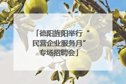 德阳旌阳举行“民营企业服务月”专场招聘会