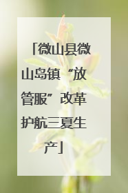 微山县微山岛镇“放管服”改革护航三夏生产