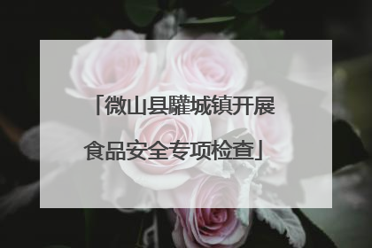 微山县驩城镇开展食品安全专项检查
