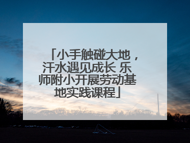 小手触碰大地，汗水遇见成长 乐师附小开展劳动基地实践课程
