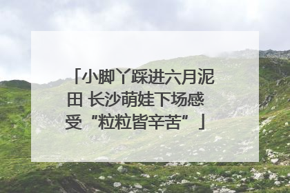 小脚丫踩进六月泥田 长沙萌娃下场感受“粒粒皆辛苦”