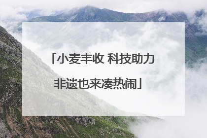 小麦丰收 科技助力 非遗也来凑热闹