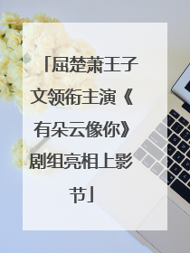 屈楚萧王子文领衔主演《有朵云像你》剧组亮相上影节