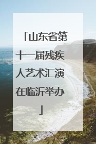 山东省第十一届残疾人艺术汇演在临沂举办