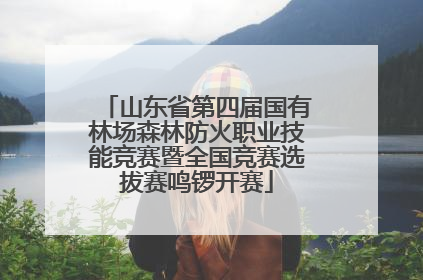 山东省第四届国有林场森林防火职业技能竞赛暨全国竞赛选拔赛鸣锣开赛
