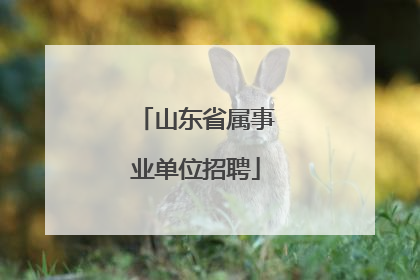 山东省属事业单位招聘