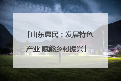 山东惠民：发展特色产业 赋能乡村振兴