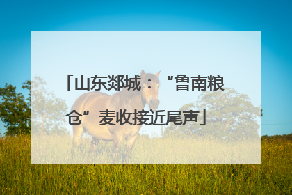 山东郯城：“鲁南粮仓”麦收接近尾声