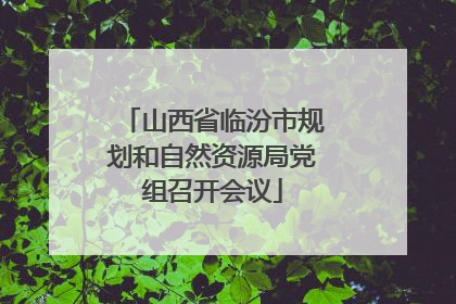 山西省临汾市规划和自然资源局党组召开会议