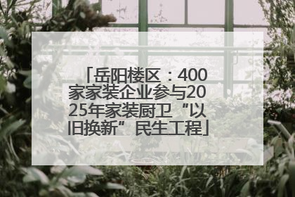 岳阳楼区：400家家装企业参与2025年家装厨卫“以旧换新”民生工程