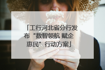 工行河北省分行发布“数智领航 赋企惠民”行动方案