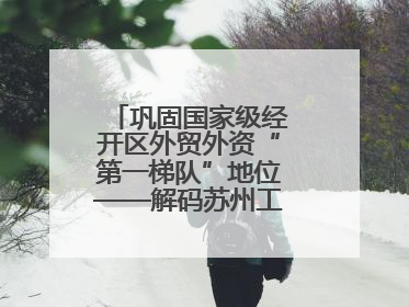 巩固国家级经开区外贸外资“第一梯队”地位——解码苏州工业园区样本