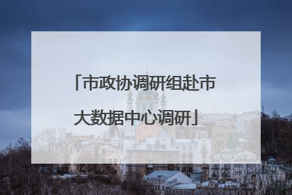 市政协调研组赴市大数据中心调研