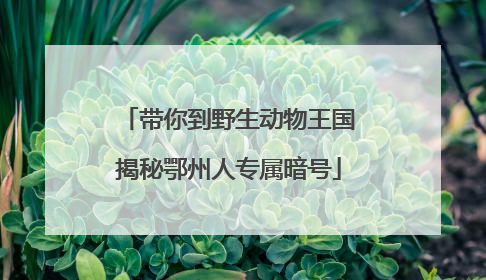 带你到野生动物王国揭秘鄂州人专属暗号