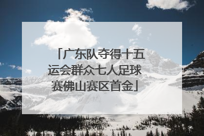 广东队夺得十五运会群众七人足球赛佛山赛区首金