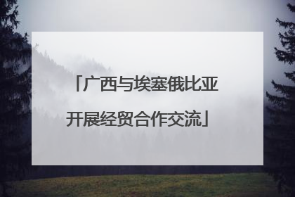 广西与埃塞俄比亚开展经贸合作交流