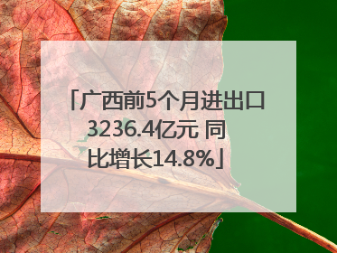 广西前5个月进出口3236.4亿元 同比增长14.8%