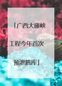 广西大藤峡工程今年首次预泄腾库