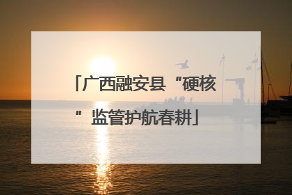 广西融安县“硬核”监管护航春耕