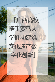 广西高校携手罗马大学推动建筑文化遗产数字化创新
