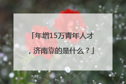 年增15万青年人才，济南靠的是什么？