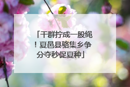 干群拧成一股绳！夏邑县骆集乡争分夺秒促夏种
