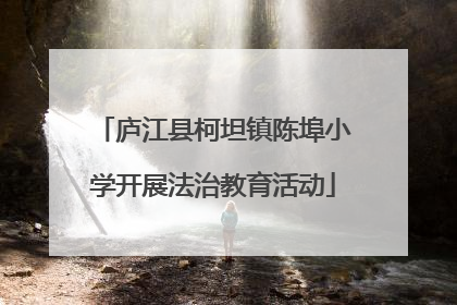 庐江县柯坦镇陈埠小学开展法治教育活动