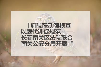 府院联动强根基 以庭代训促规范——长春南关区法院联合南关公安分局开展“以庭代训”