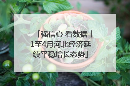 强信心 看数据丨1至4月河北经济延续平稳增长态势